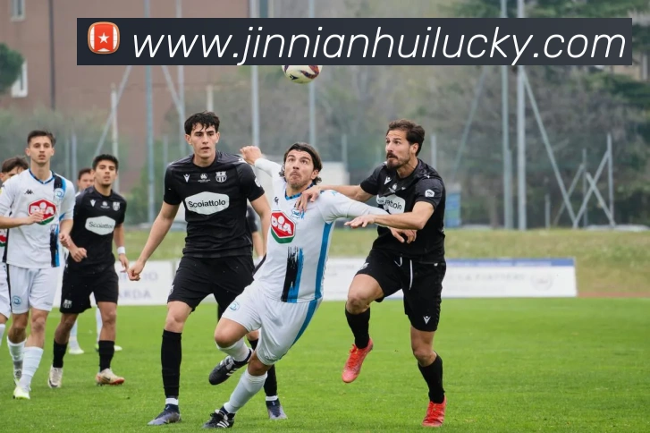 App Interface Preview