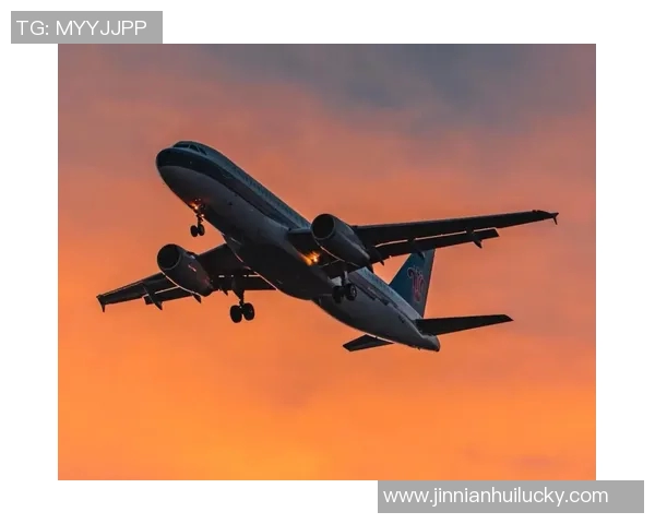 尤文图斯归途艰难机场跑道结冰导致多次航班延误 尤文图斯归途艰难机场跑道结冰导致多次航班延误